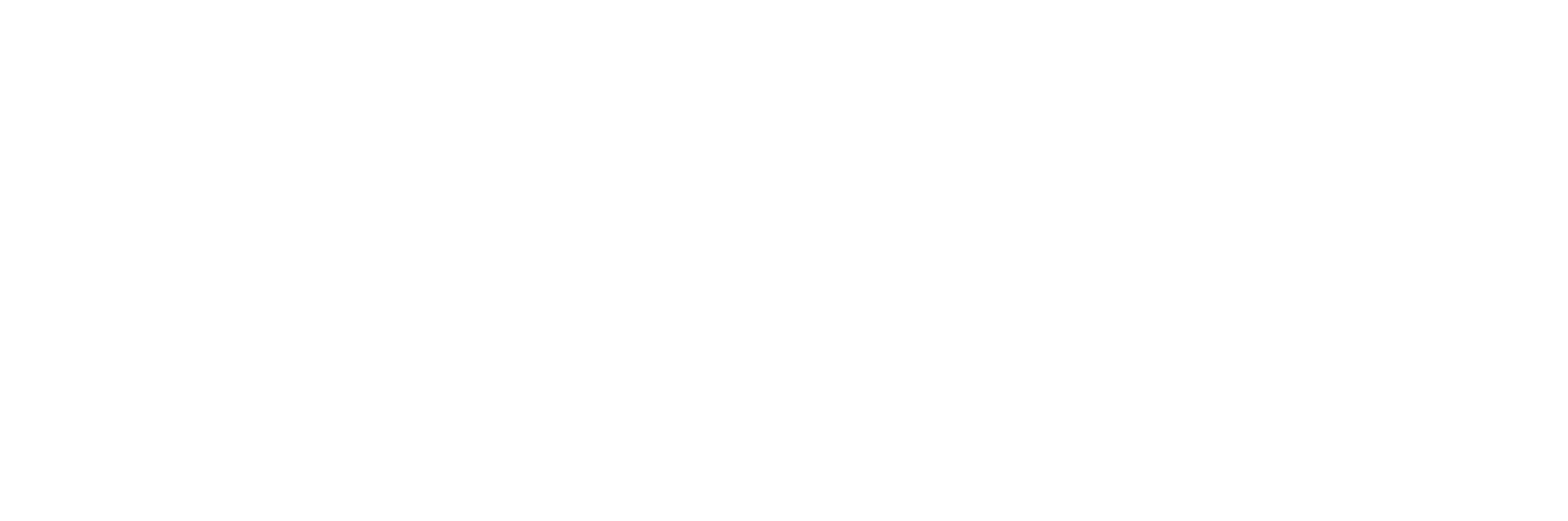 Next Frontier Capital